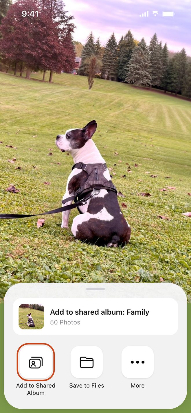 Illustration: Family on iOS 26 or earlier: Add to Shared Album in the share sheet